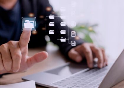 digital asset management services