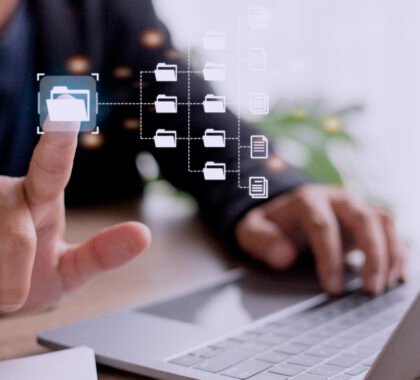 digital asset management services