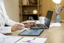 professional portfolio managers