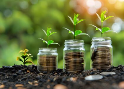 sustainable investment solutions