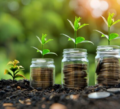 sustainable investment solutions